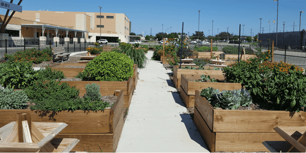 Roosevelt High School gardens